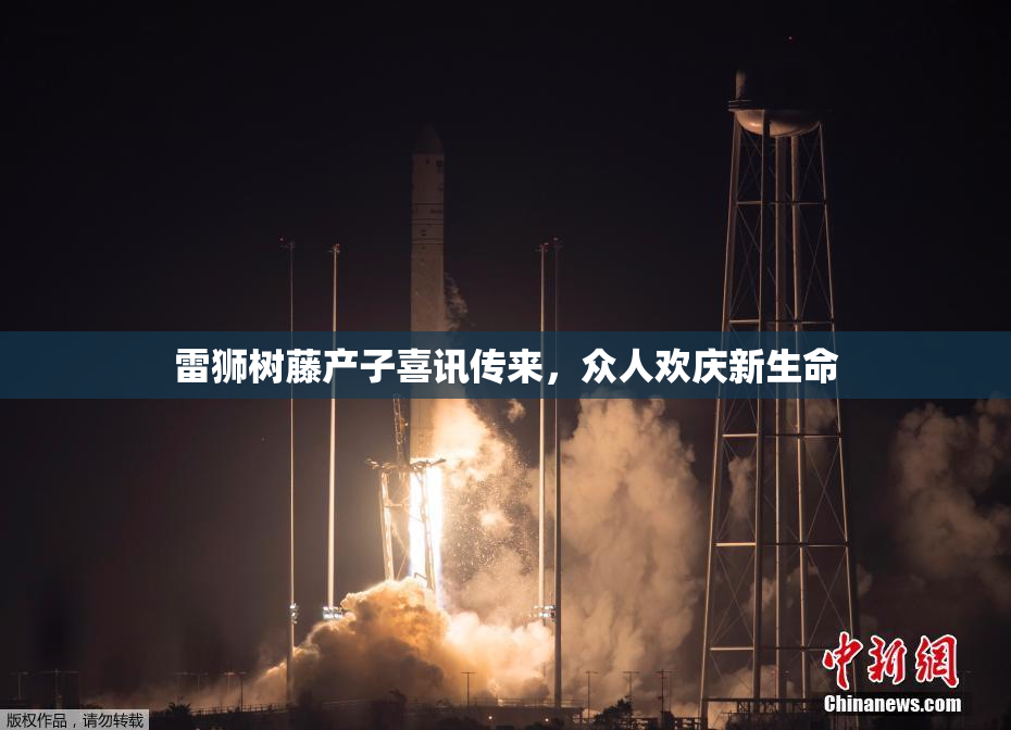 雷狮树藤产子喜讯传来，众人欢庆新生命