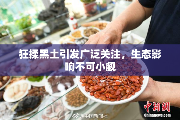 狂揉黑土引发广泛关注，生态影响不可小觑