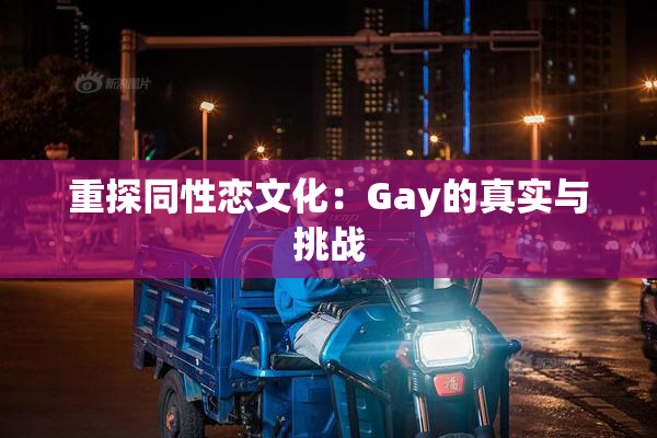 重探同性恋文化：Gay的真实与挑战