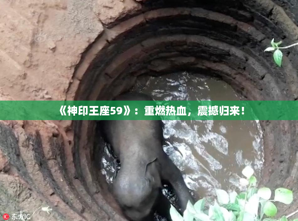 《神印王座59》：重燃热血，震撼归来！