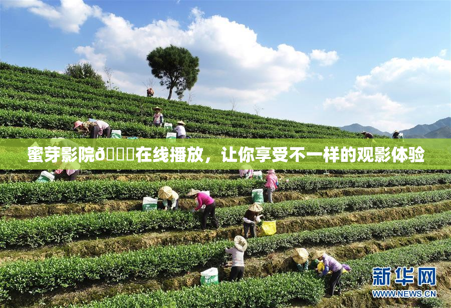 蜜芽影院🔞在线播放，让你享受不一样的观影体验