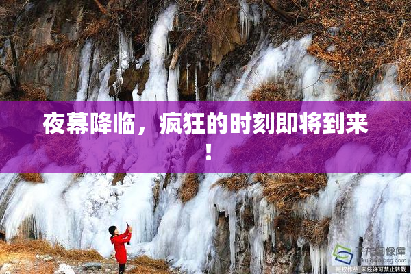 夜幕降临，疯狂的时刻即将到来！