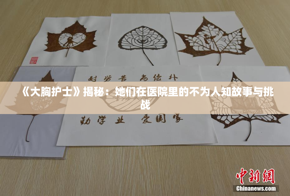 《大胸护士》揭秘：她们在医院里的不为人知故事与挑战