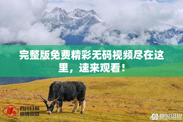 完整版免费精彩无码视频尽在这里，速来观看！