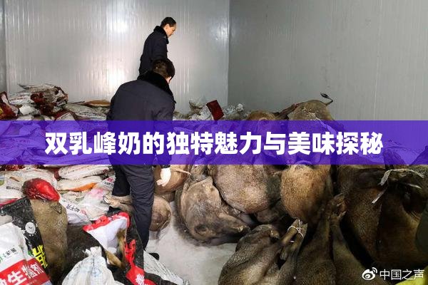 双乳峰奶的独特魅力与美味探秘
