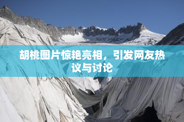 胡桃图片惊艳亮相，引发网友热议与讨论