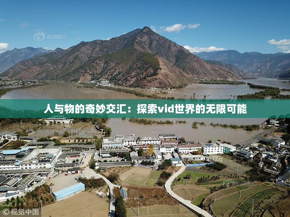 人与物的奇妙交汇：探索vid世界的无限可能