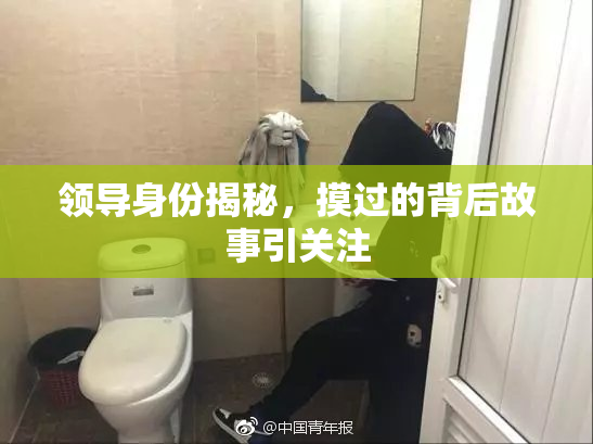 领导身份揭秘，摸过的背后故事引关注