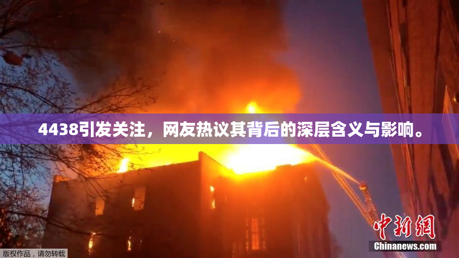 4438引发关注，网友热议其背后的深层含义与影响。