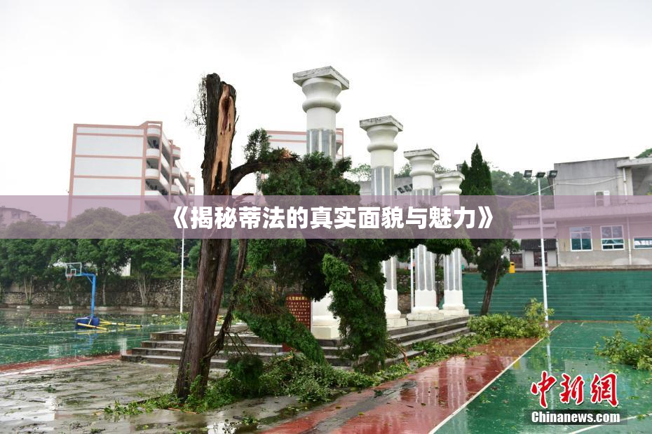 《揭秘蒂法的真实面貌与魅力》
