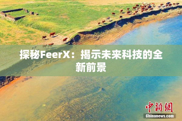 探秘FeerX：揭示未来科技的全新前景