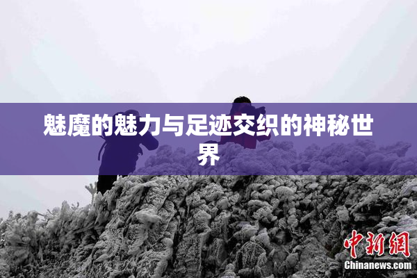 魅魔的魅力与足迹交织的神秘世界