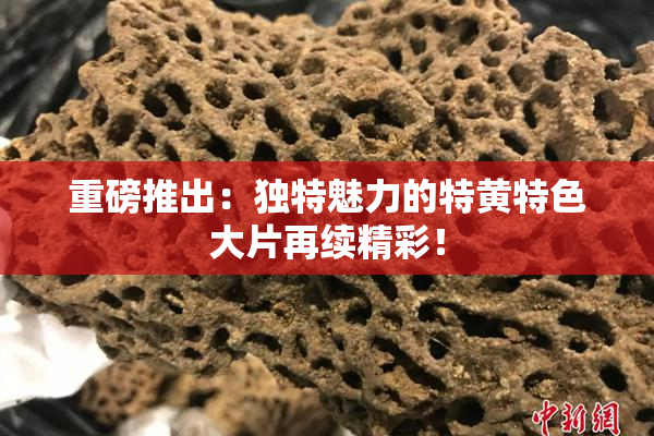 重磅推出：独特魅力的特黄特色大片再续精彩！