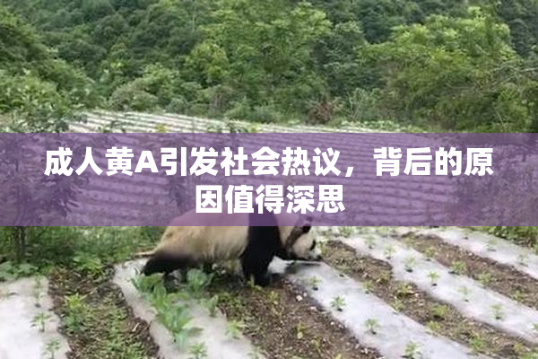 成人黄A引发社会热议，背后的原因值得深思