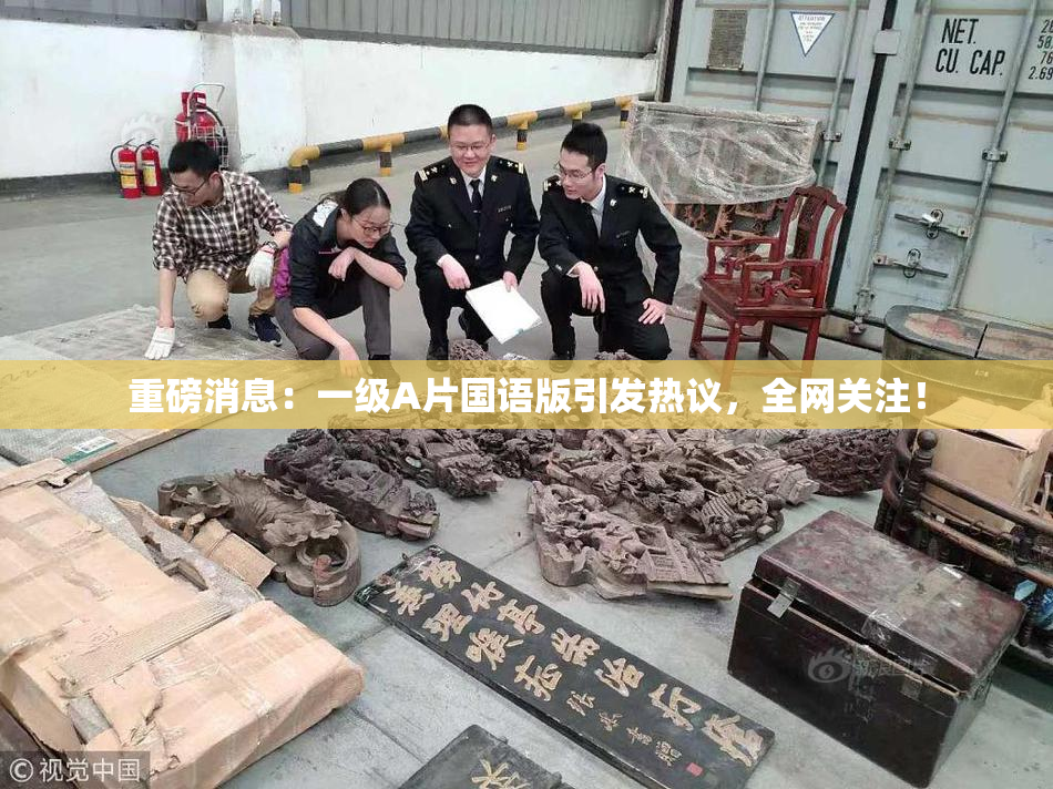 重磅消息：一级A片国语版引发热议，全网关注！