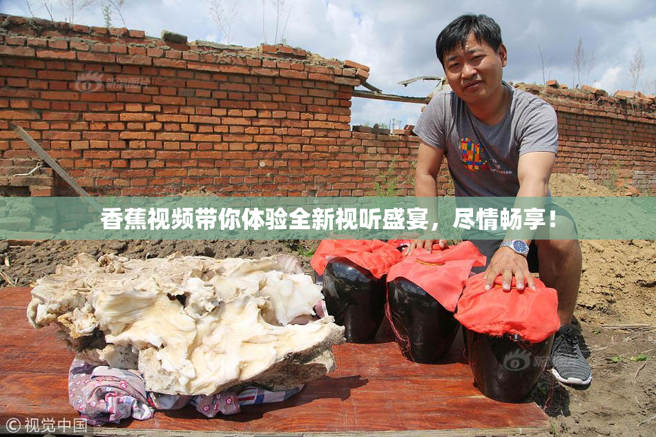 香蕉视频带你体验全新视听盛宴，尽情畅享！