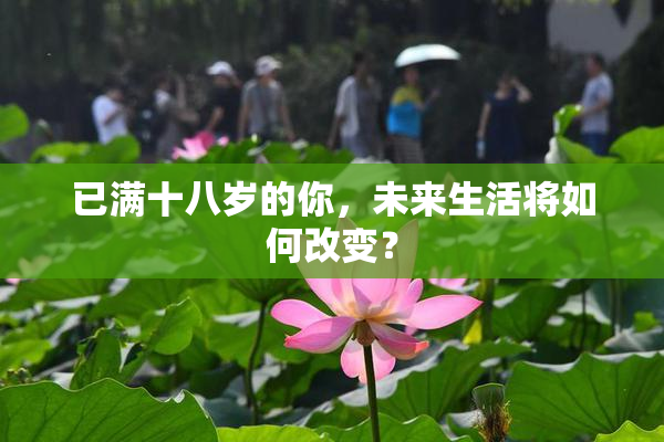已满十八岁的你，未来生活将如何改变？