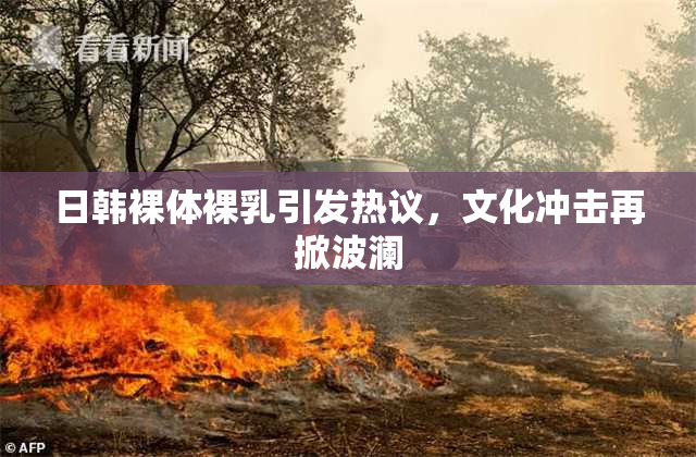 日韩裸体裸乳引发热议，文化冲击再掀波澜