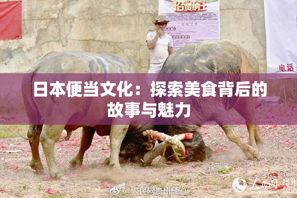 日本便当文化：探索美食背后的故事与魅力