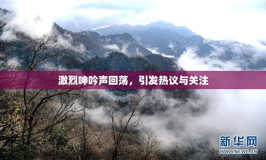 激烈呻吟声回荡，引发热议与关注