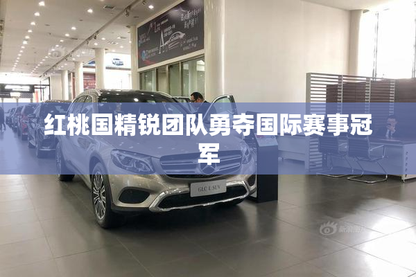 红桃国精锐团队勇夺国际赛事冠军