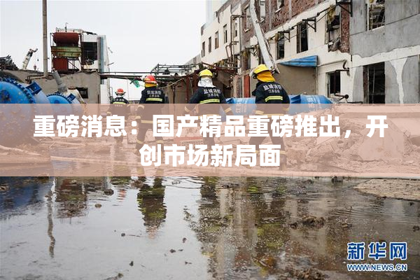 重磅消息：国产精品重磅推出，开创市场新局面