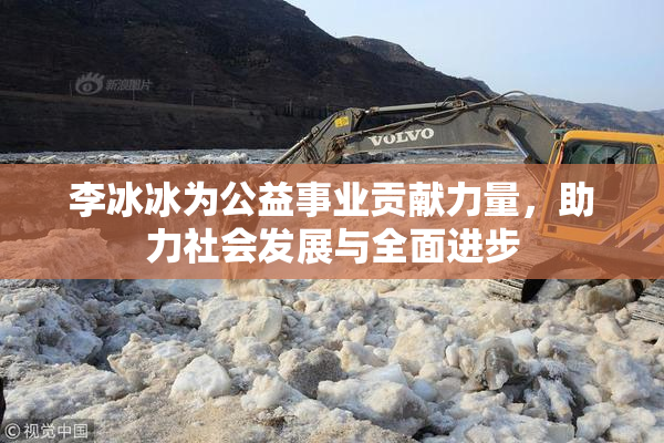 李冰冰为公益事业贡献力量，助力社会发展与全面进步