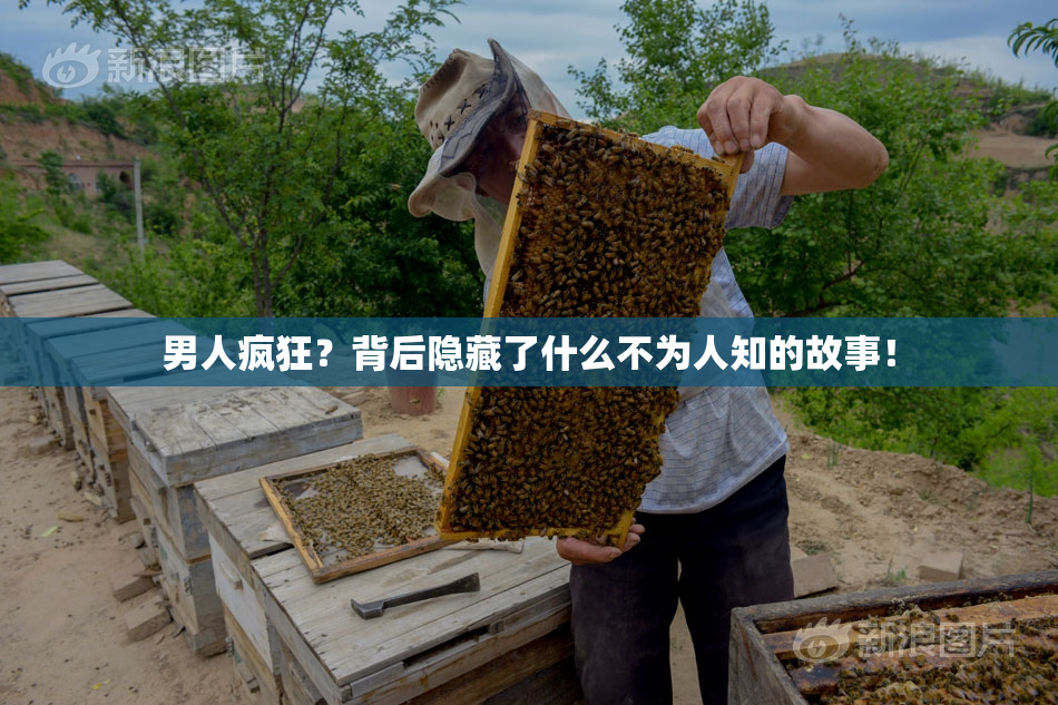 男人疯狂？背后隐藏了什么不为人知的故事！