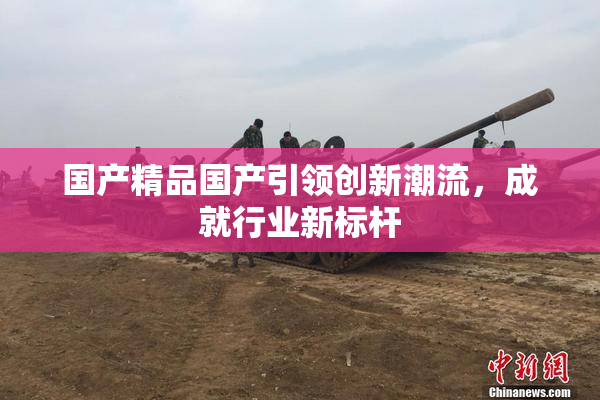 国产精品国产引领创新潮流，成就行业新标杆