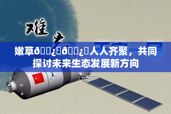 嫩草🌿‌🌿‌人人齐聚，共同探讨未来生态发展新方向