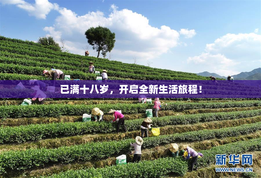 已满十八岁，开启全新生活旅程！