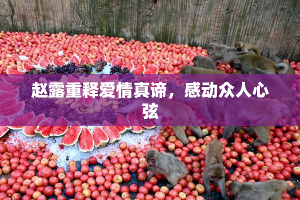 赵露重释爱情真谛，感动众人心弦