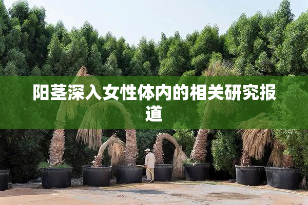 阳茎深入女性体内的相关研究报道