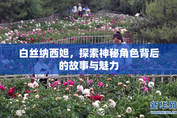 白丝纳西妲，探索神秘角色背后的故事与魅力