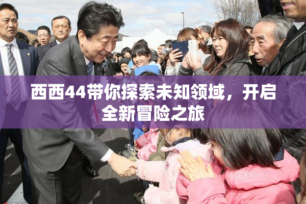 西西44带你探索未知领域，开启全新冒险之旅