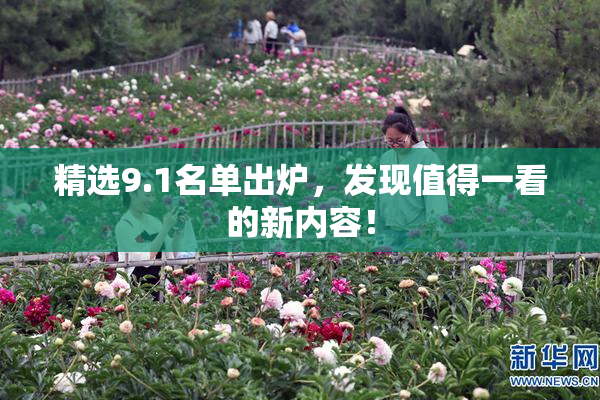 精选9.1名单出炉，发现值得一看的新内容！