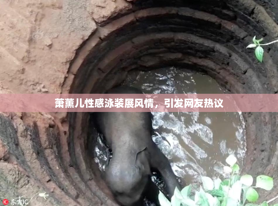 萧薰儿性感泳装展风情，引发网友热议