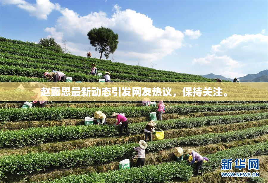 赵露思最新动态引发网友热议，保持关注。