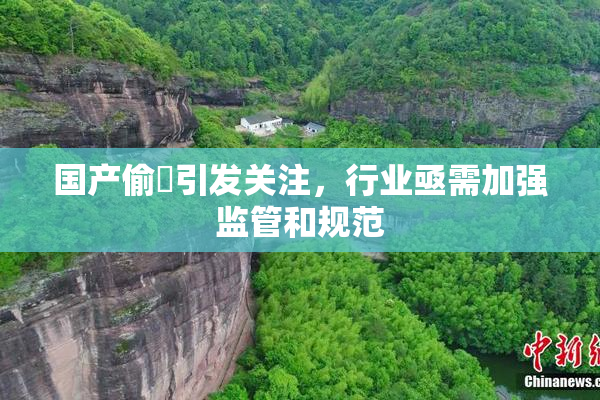 国产偷抇引发关注，行业亟需加强监管和规范