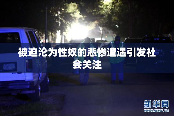 被迫沦为性奴的悲惨遭遇引发社会关注