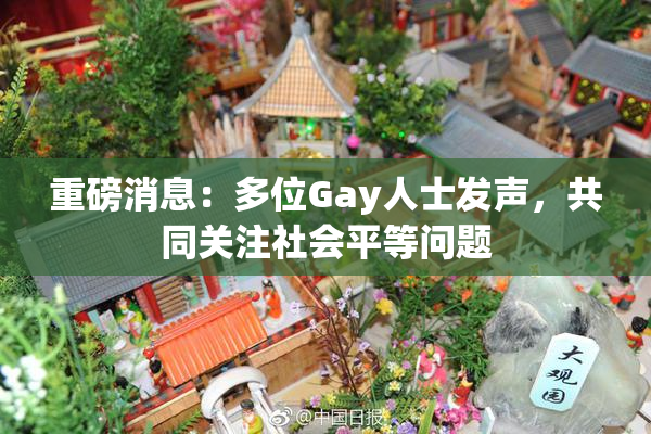 重磅消息：多位Gay人士发声，共同关注社会平等问题