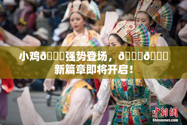 小鸡🐔强势登场，🍑🔞新篇章即将开启！