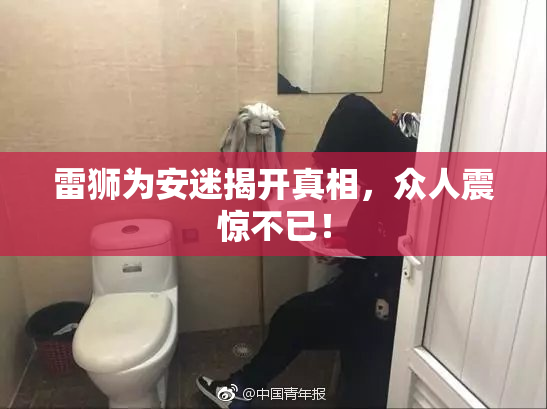 雷狮为安迷揭开真相，众人震惊不已！