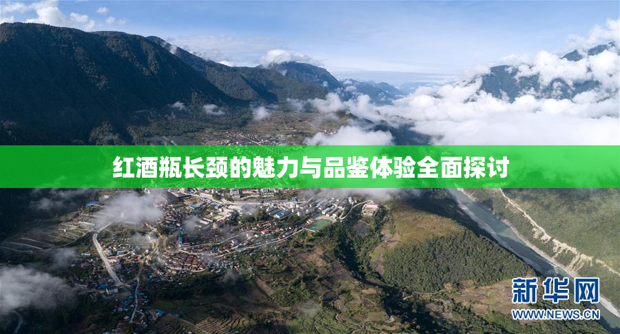 红酒瓶长颈的魅力与品鉴体验全面探讨