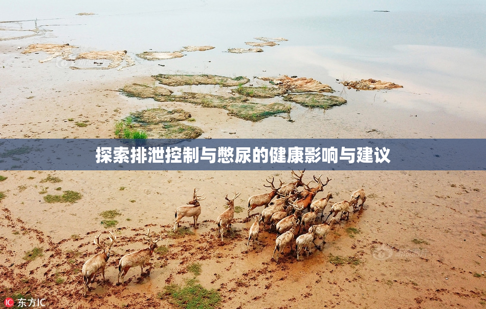 探索排泄控制与憋尿的健康影响与建议