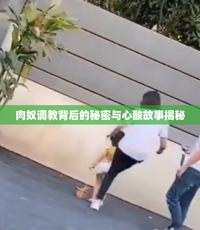 肉奴调教背后的秘密与心酸故事揭秘