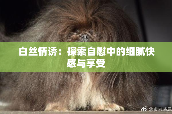 白丝情诱：探索自慰中的细腻快感与享受