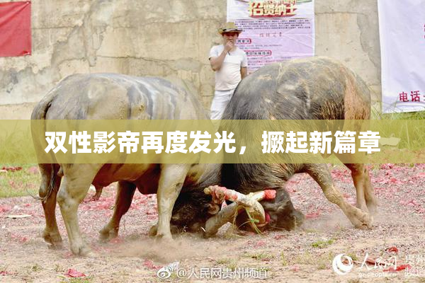 双性影帝再度发光，撅起新篇章
