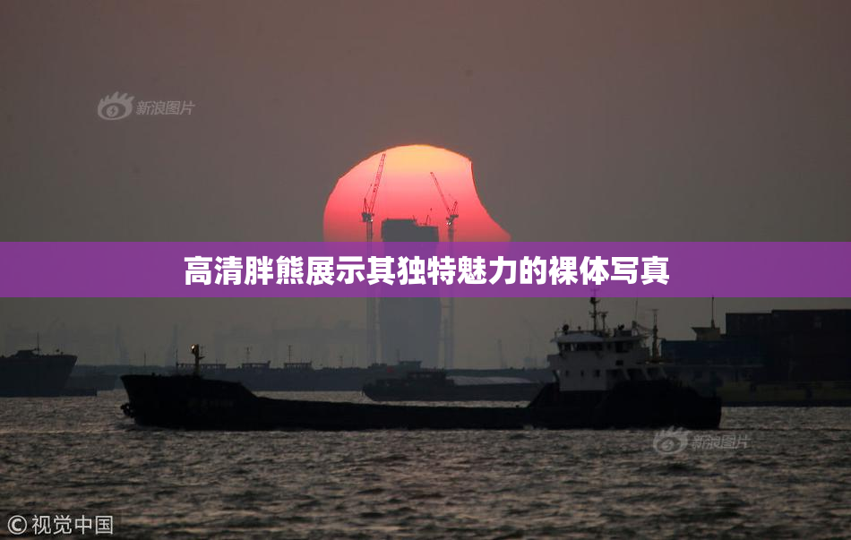 高清胖熊展示其独特魅力的裸体写真