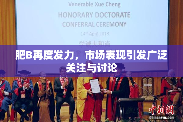 肥B再度发力，市场表现引发广泛关注与讨论